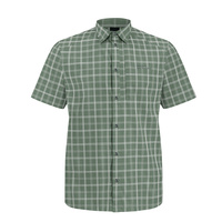 hedge green checks