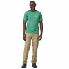 Spodnie QUANDARY PANTS SHORT MEN