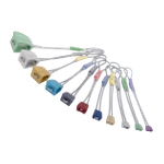 Zestaw kości WALLNUT SET 1-11