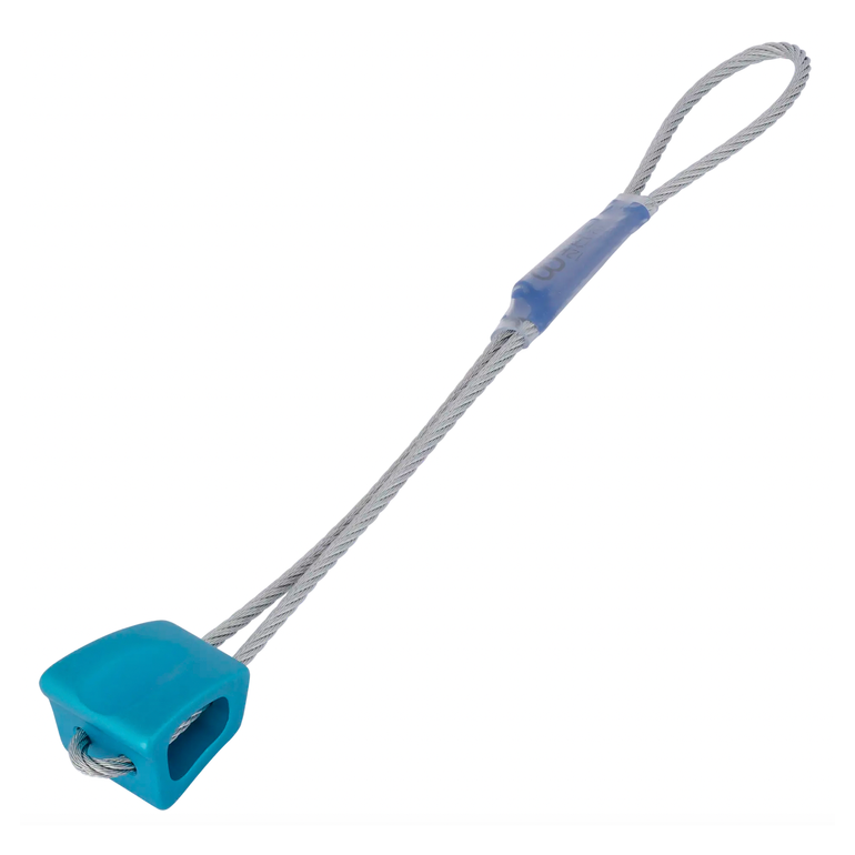 Kość WALLNUT 8