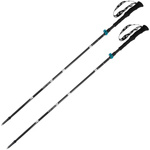 Kije EXPERT CARBON