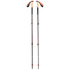 Kije trekkingowe TRAIL CORK TREKKING POLES