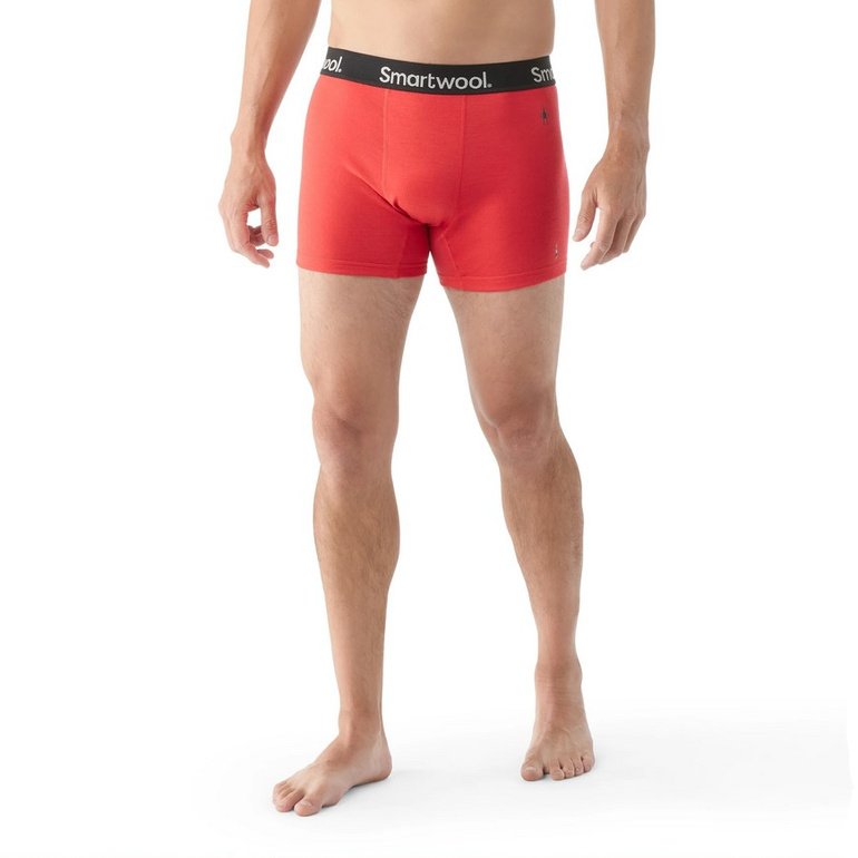 Bokserki z wełną merino ACTIVE BOXER BRIEF